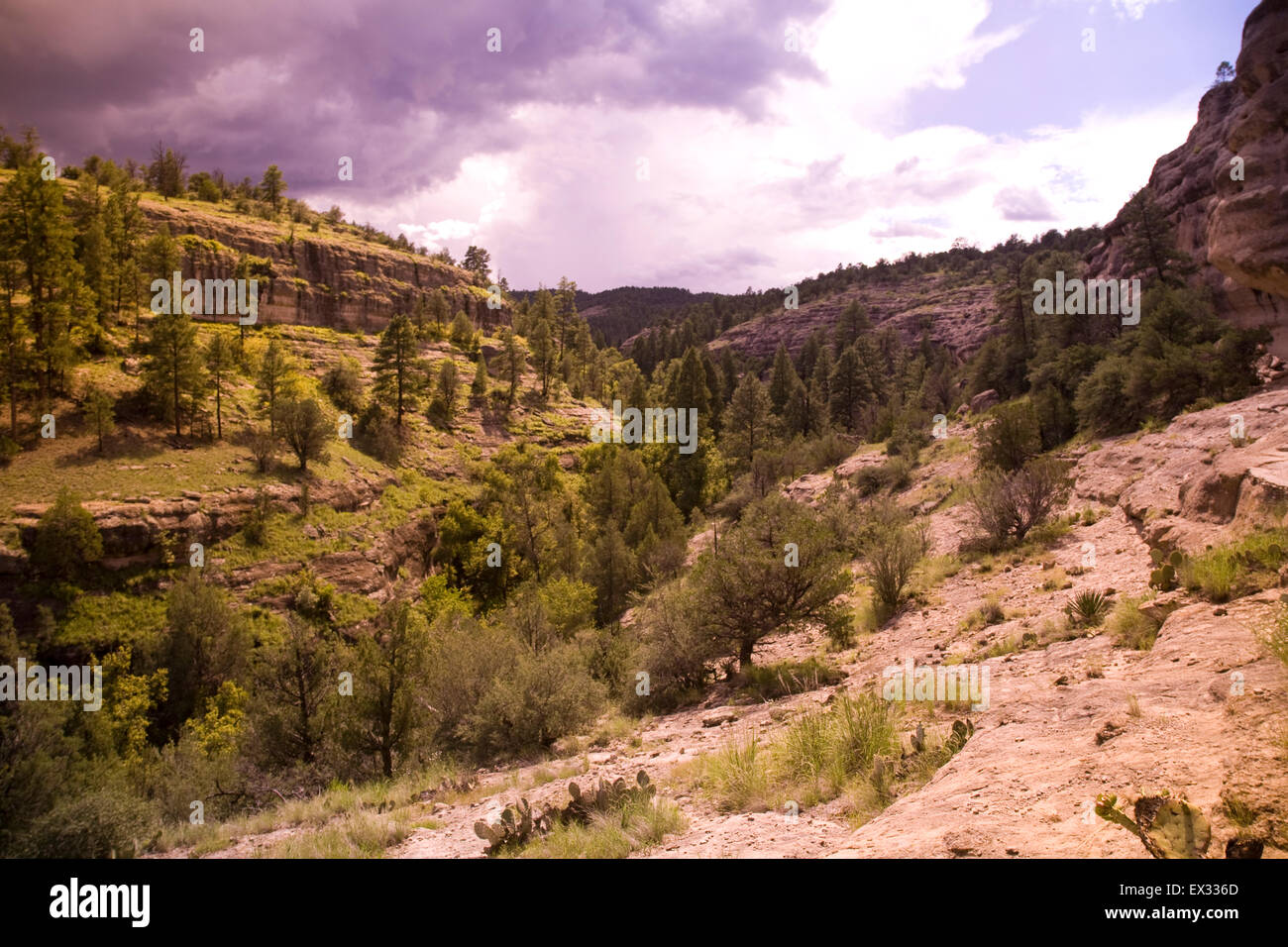 Gila Cliff Dwellings sind versteckt in Höhlen an den fast senkrechten Wänden einer abgelegenen Schlucht versteckt in Gila National Monument. Stockfoto