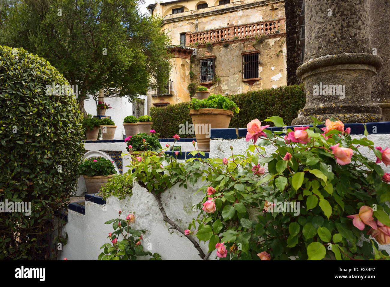 Stieg der Busch in Forestier Garten der bröckelnden maurischen Könige Haus im Ronda-Spain Stockfoto