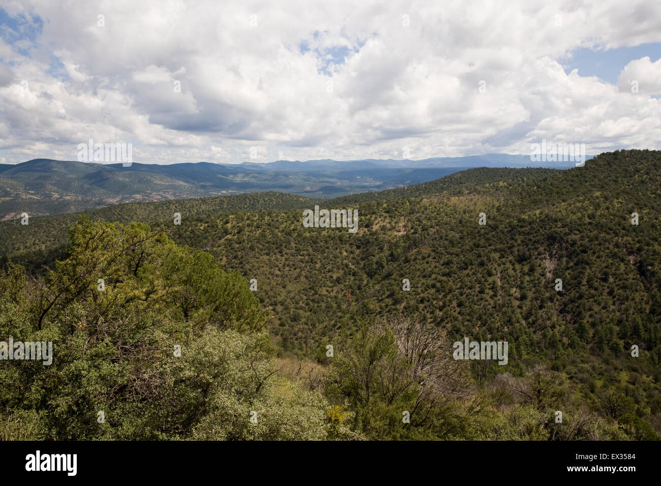 Blick vom NM Hwy 15 zwischen Silver City und Gila Cliff Dwellings National Monument zeigen die Weite des 438.000 Hektar großen Gebiet. Stockfoto Blick vom NM Hwy 15 zwischen Silver City und Gila Cliff Dwellings National Monument zeigen die Weite des 438.000 Hektar großen Gebiet. Stockfoto