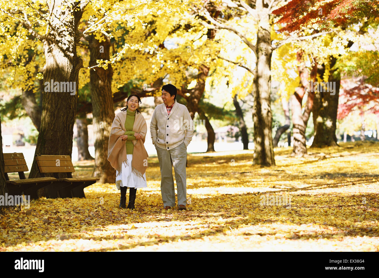 Senior japanisches Ehepaar in einem Stadtpark im Herbst Stockfoto