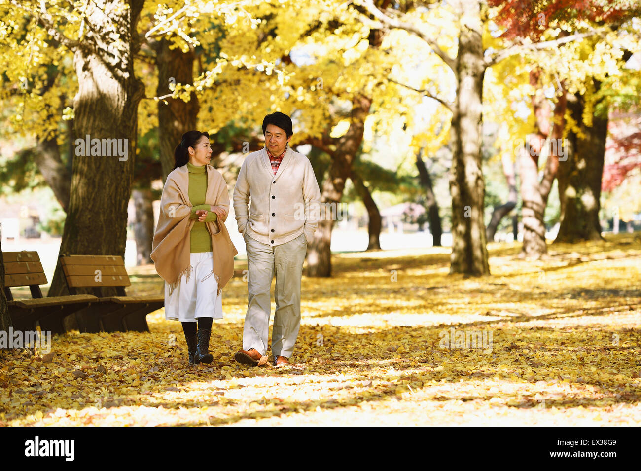 Senior japanisches Ehepaar in einem Stadtpark im Herbst Stockfoto