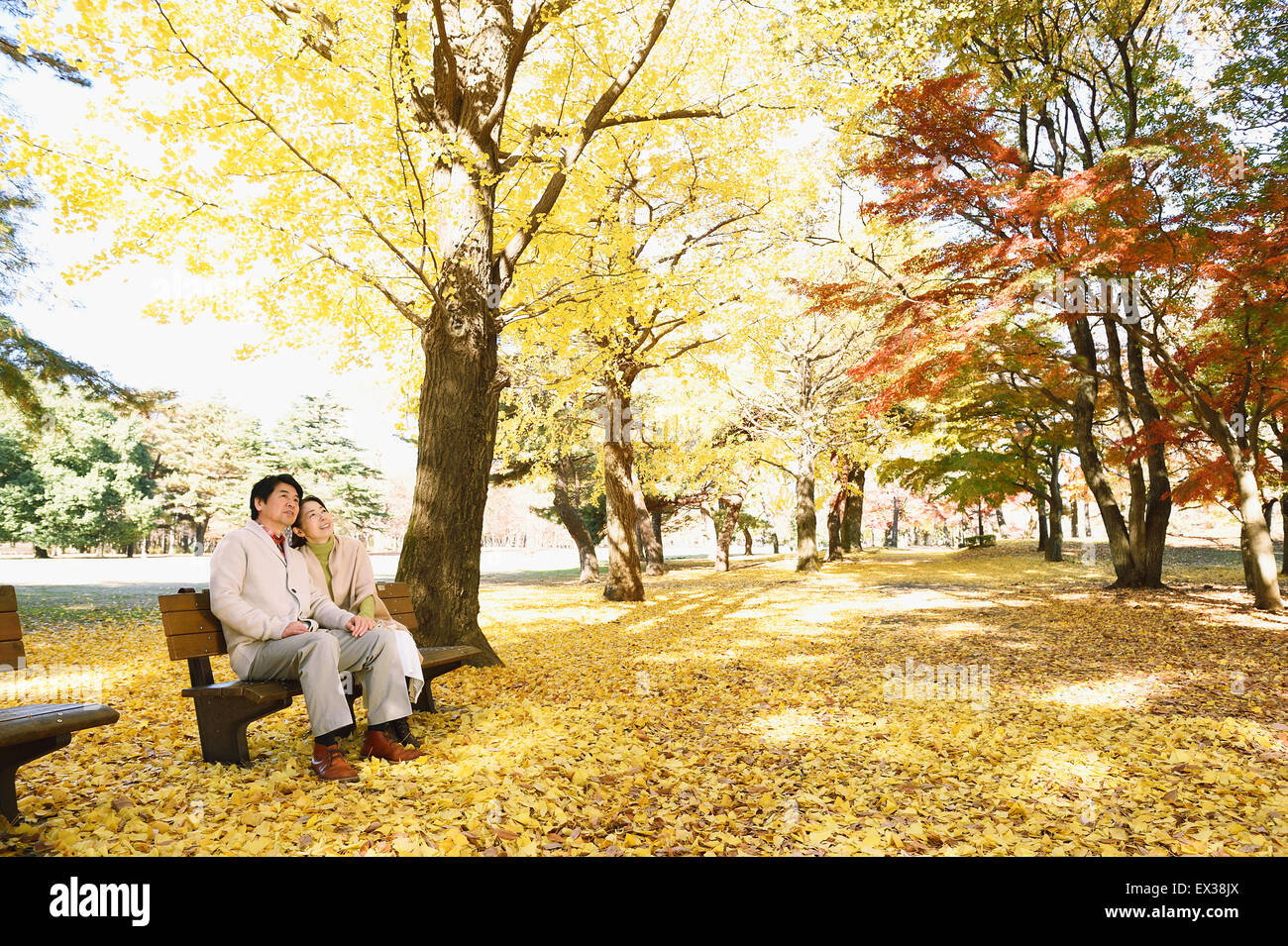 Senior japanische paar sitzt auf einer Bank im Stadtpark Stockfoto