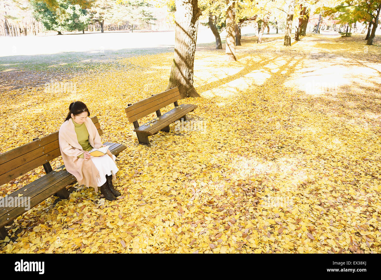 Ältere japanische Frau sitzen auf einer Bank mit einem Buch in einem Stadtpark im Herbst Stockfoto