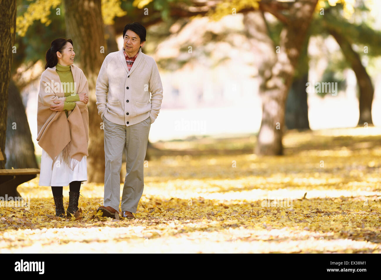 Senior japanisches Ehepaar in einem Stadtpark im Herbst Stockfoto