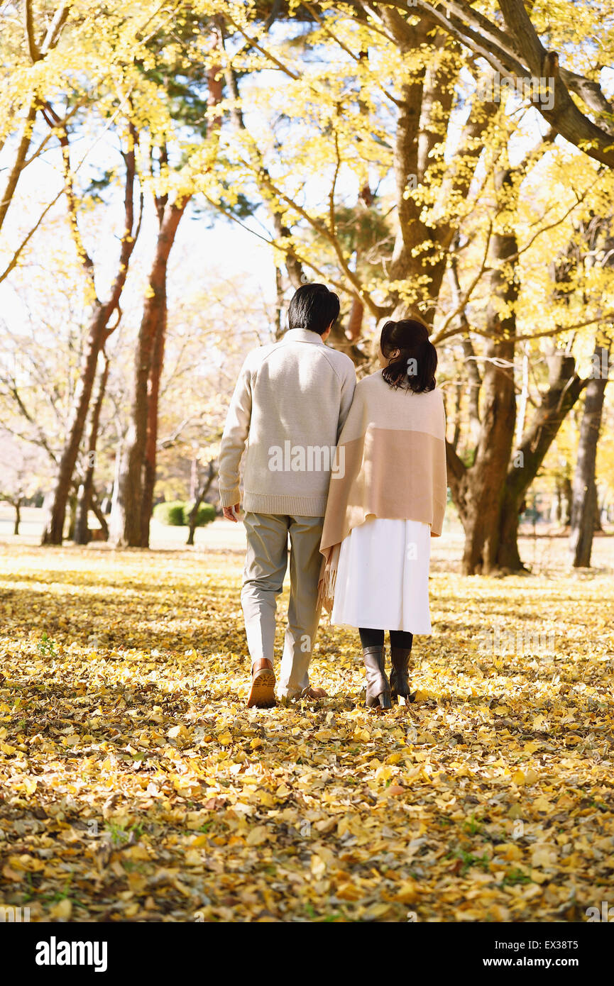 Senior japanisches Ehepaar in einem Stadtpark im Herbst Stockfoto