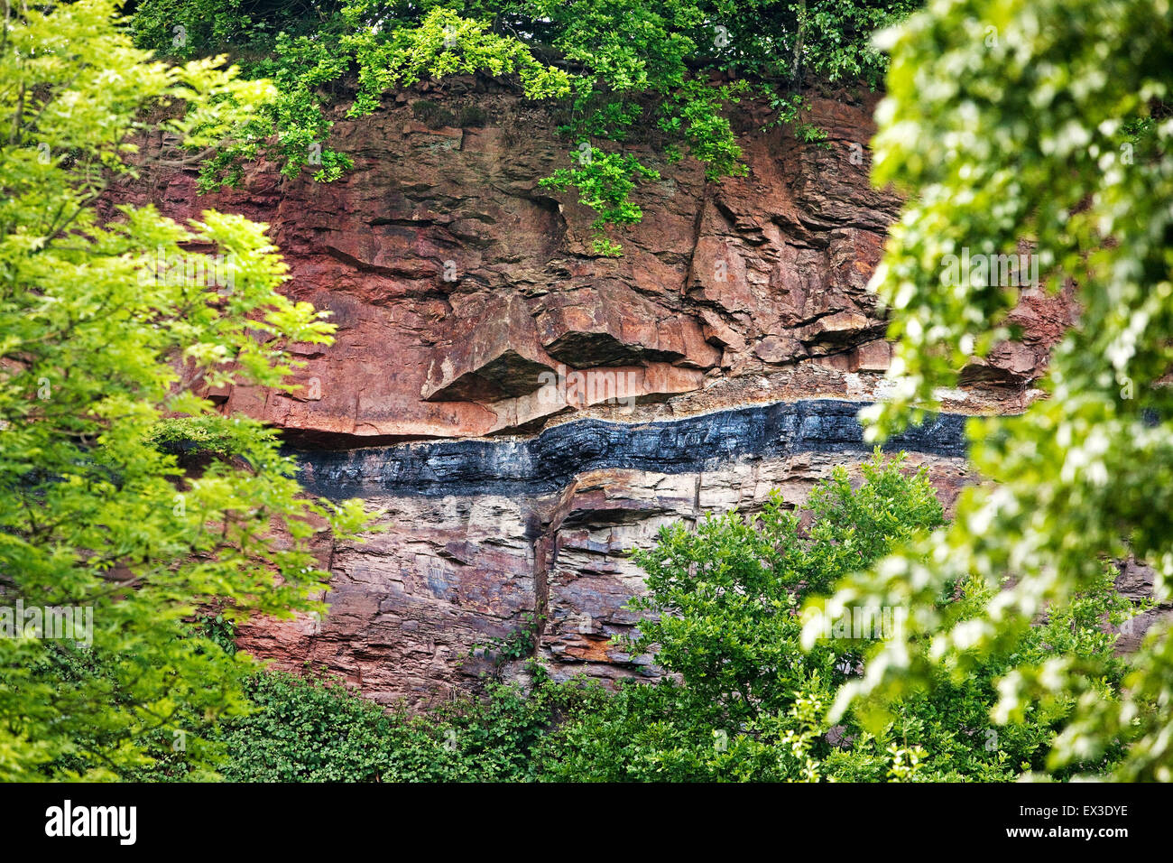 Geologische Aufschluss mit oberirdischen Kohlenflöz, Witten, Ruhrgebiet, Nordrhein-Westfalen, Deutschland Stockfoto