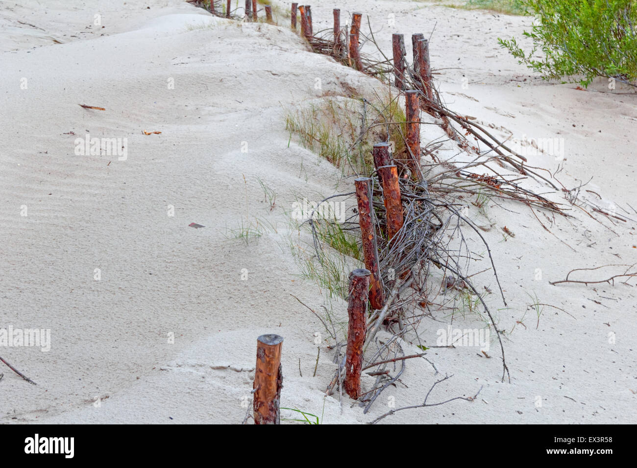 Sommer-Zaun von Protokollen in Dünen am bewölkten Tag Stockfoto