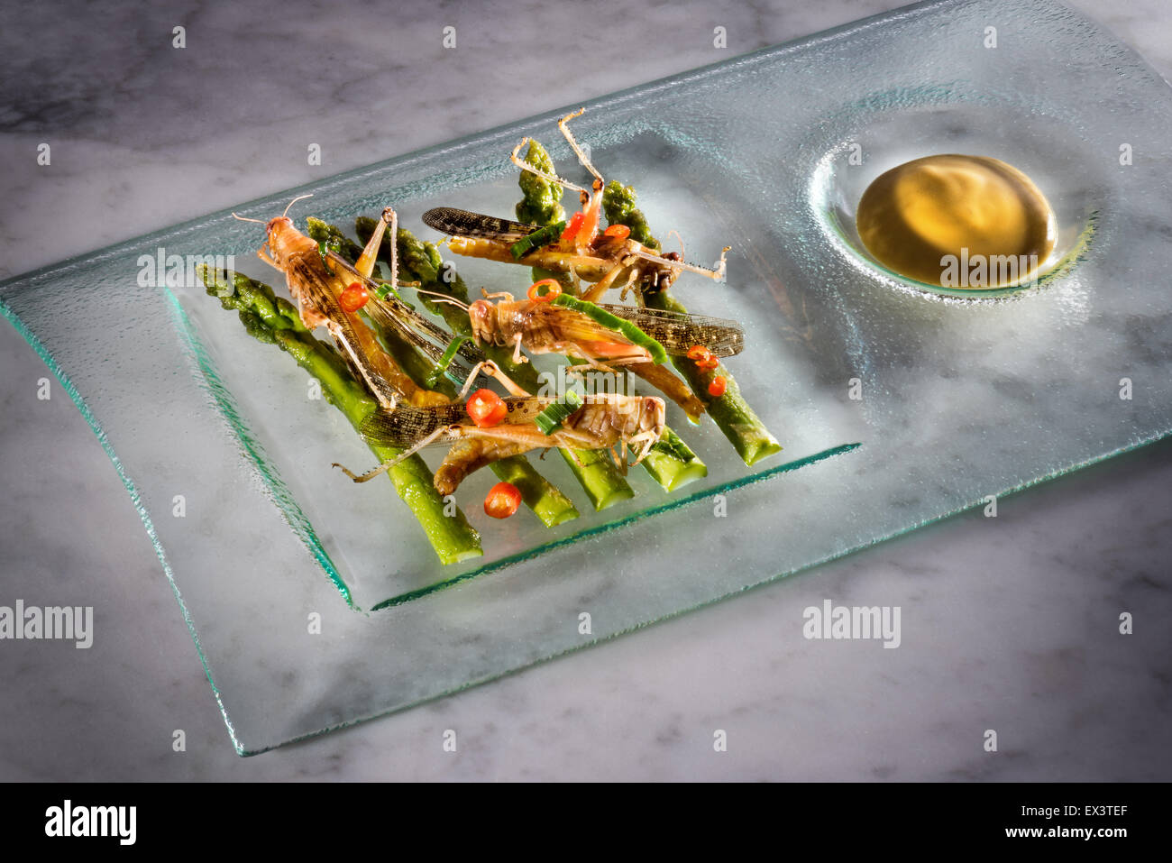 neue Zukunft essen Insekten essen und Salat Kochen Insekten Braten stilvolle gebraten auf Platte wertvolle Quelle von Protein Snack delicio Stockfoto