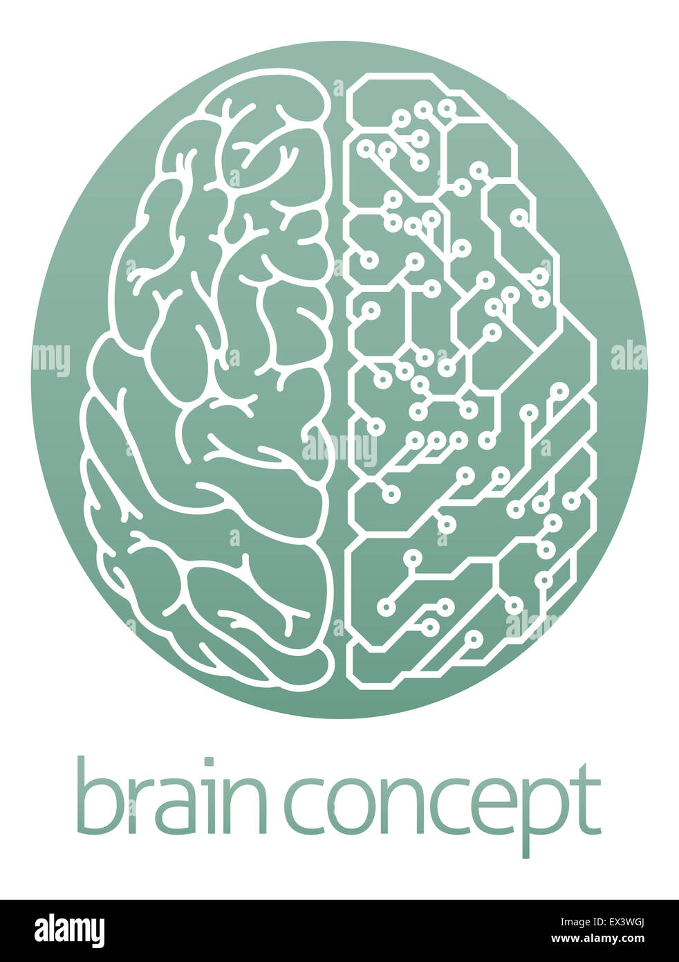 Eine abstrakte Darstellung der ein Gehirn Hälfte elektrische Leiterplatte Kreis Konzept, design Stockfoto