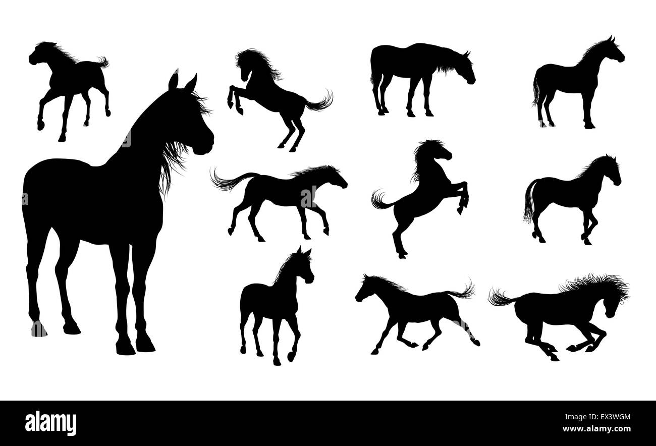 Eine Reihe von qualitativ hochwertigen detaillierte Pferd Silhouetten Stockfoto