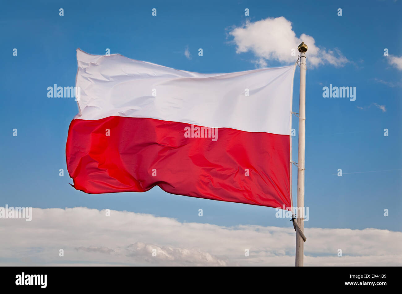 Polnische Flagge gegen den Himmel Stockfoto