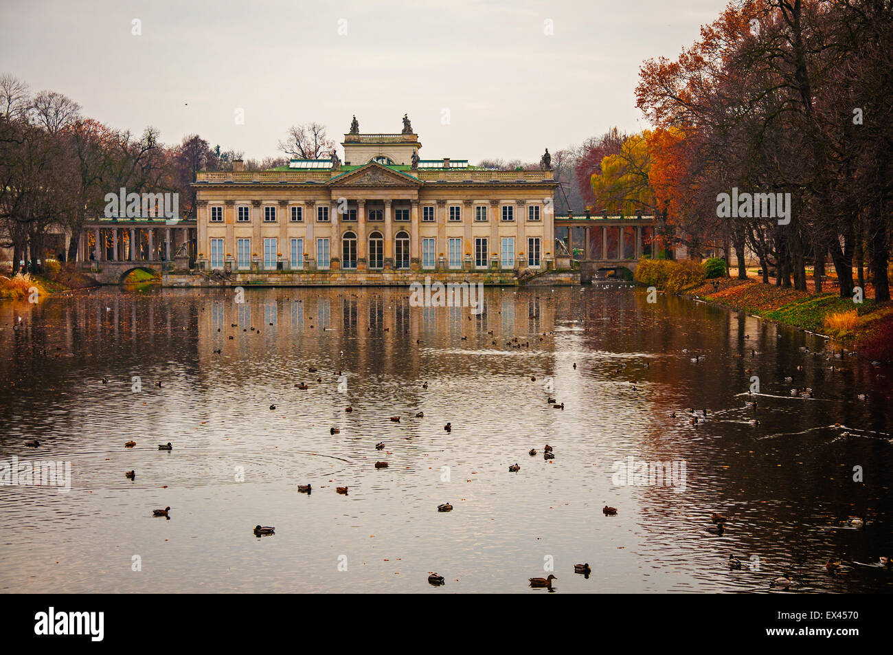 Lazienki Park Stockfoto