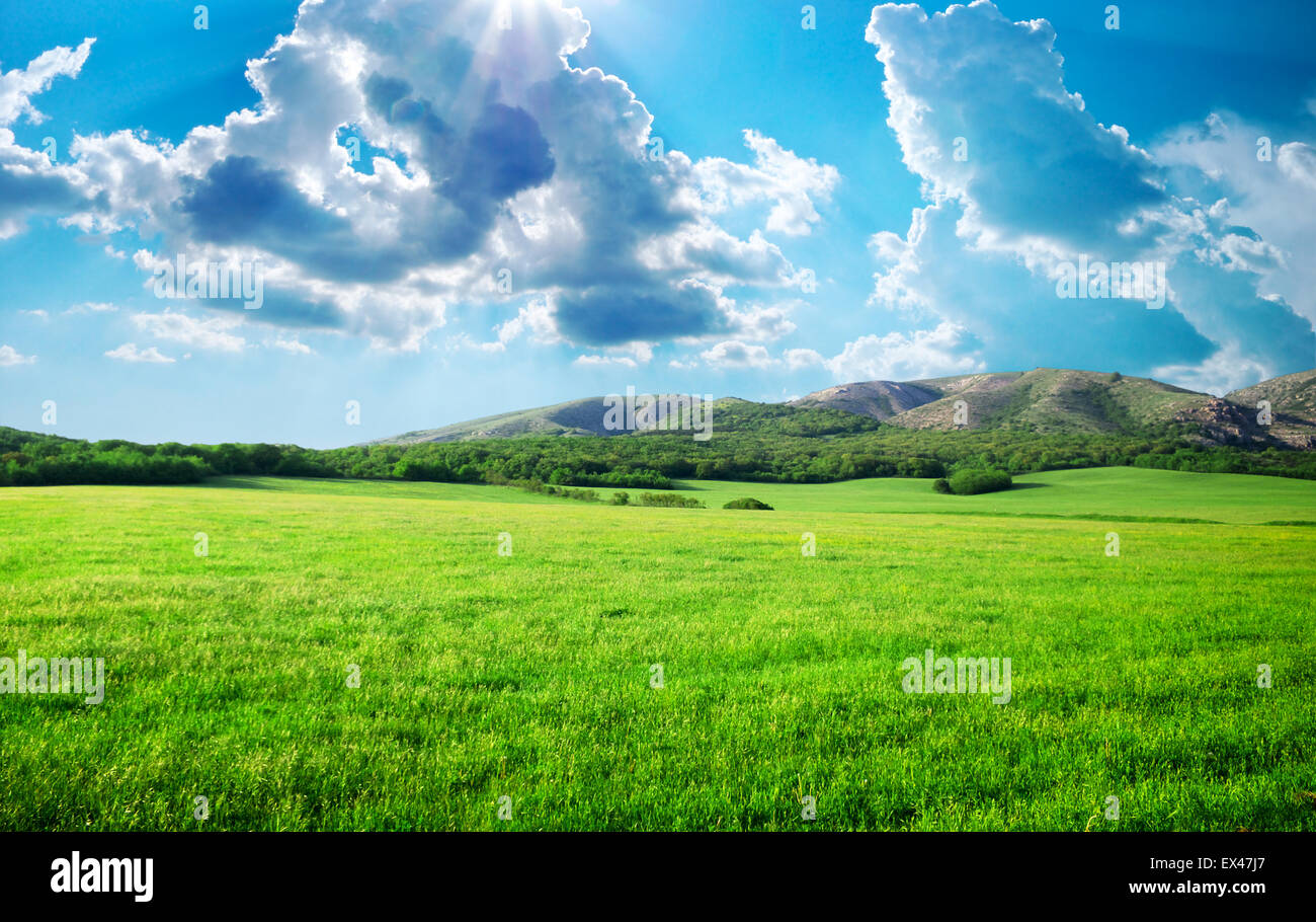 Grünen Wiese im Berg. Zusammensetzung der Natur. Stockfoto