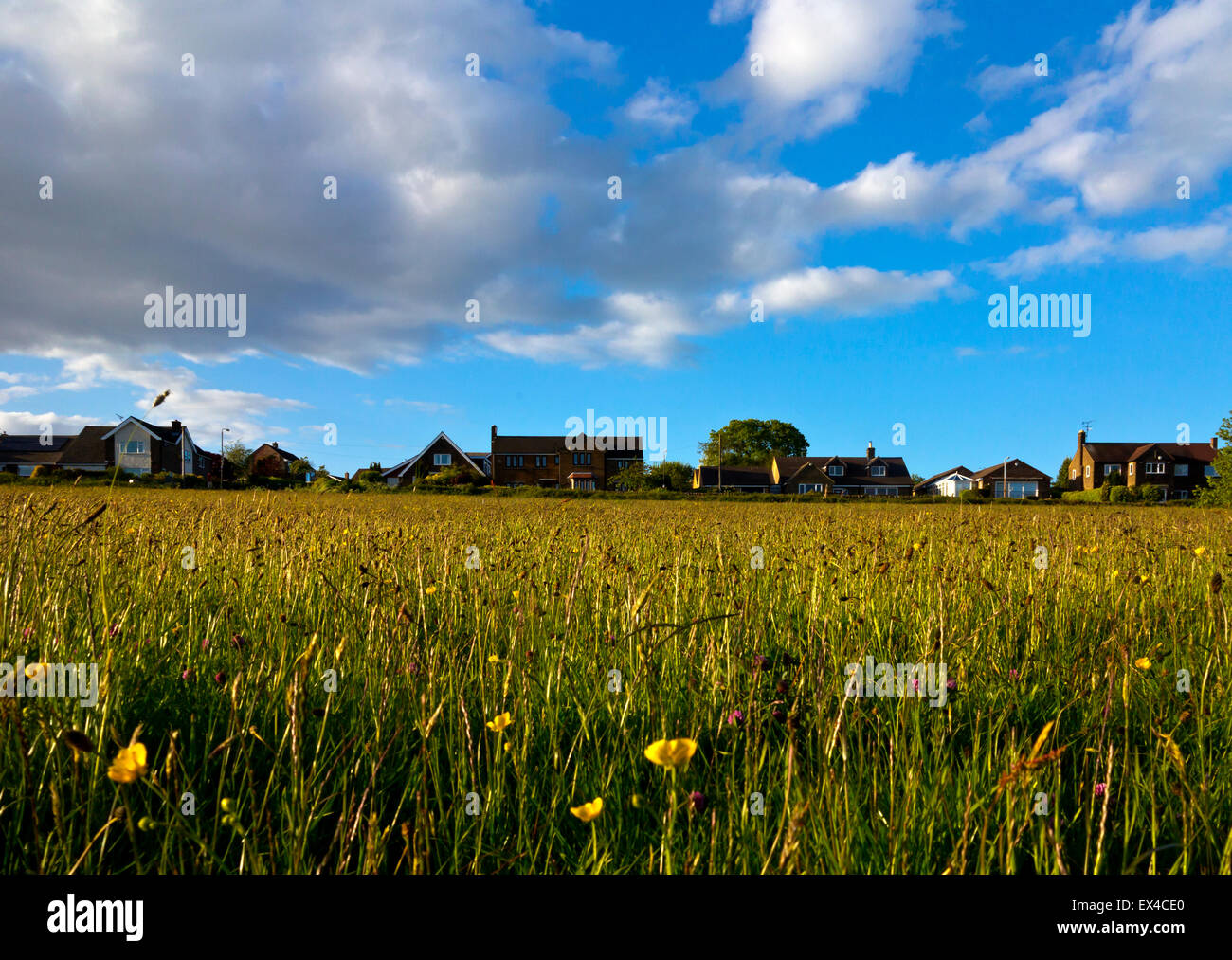 Grüngürtel Land mit Häusern jenseits in Lumsdale nahe Matlock in Derbyshire Dales Peak District England UK Stockfoto