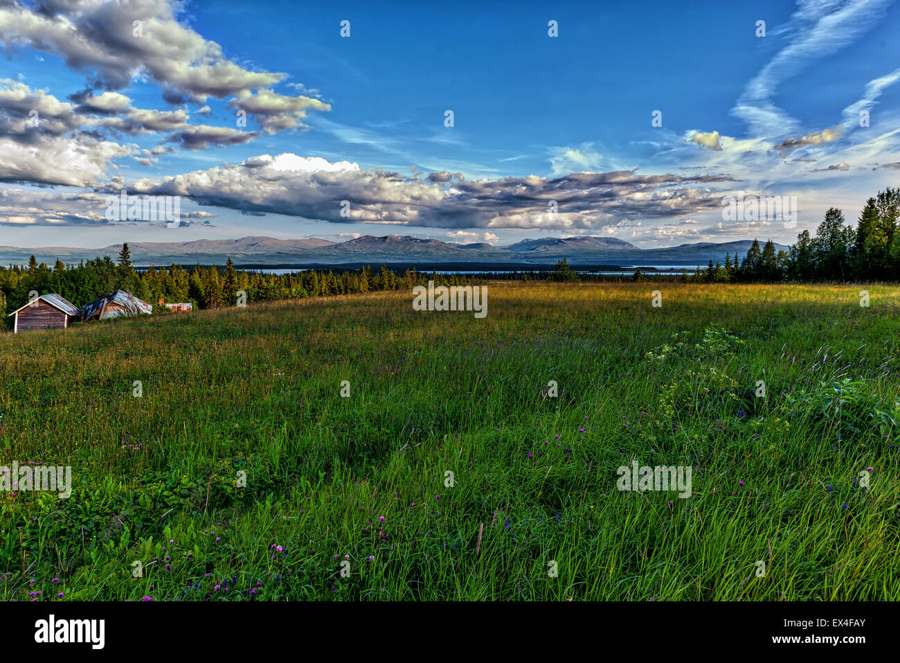 Schwedische Sommerlandschaft mit Bergen im Hintergrund. Stockfoto