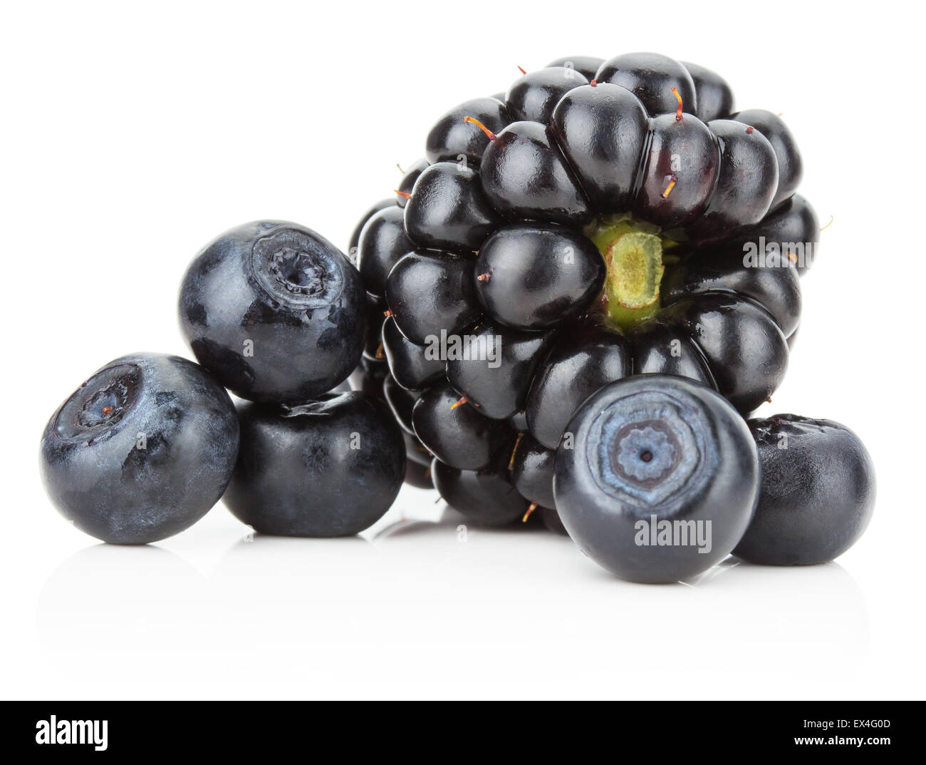 Brombeeren und Heidelbeeren auf dem weißen Hintergrund isoliert. Stockfoto