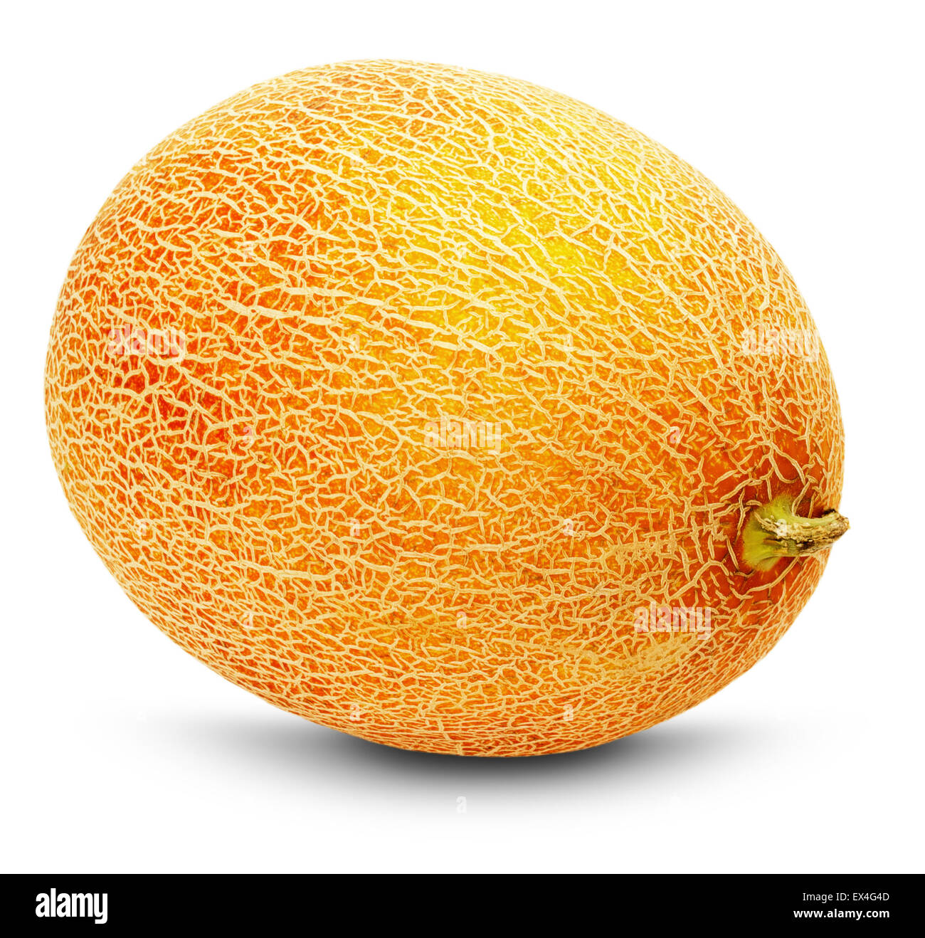 Reife Gelbe Melone auf dem weißen Hintergrund. Stockfoto