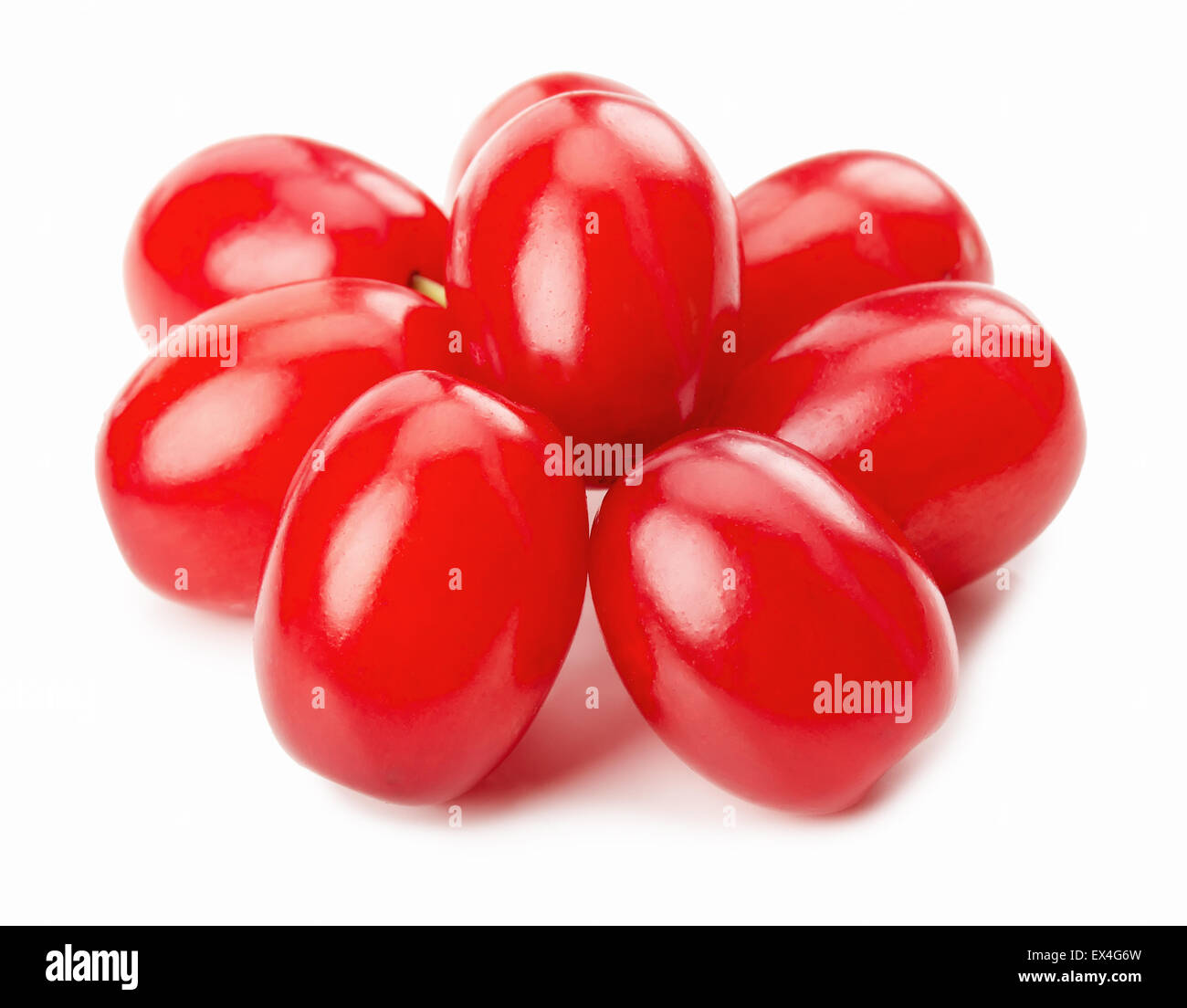 roten Cornels auf dem weißen Hintergrund isoliert. Stockfoto