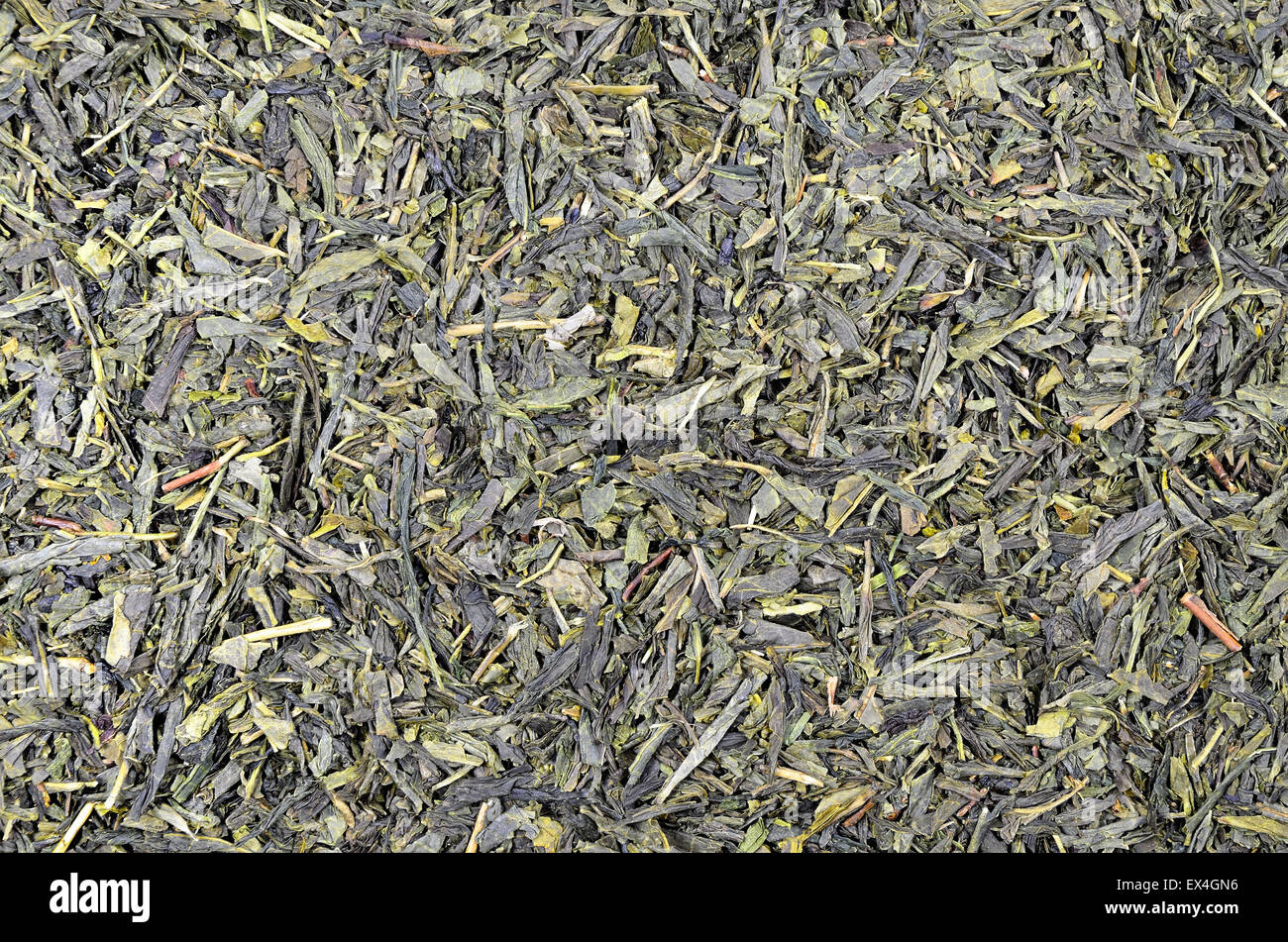 Nahaufnahme von Flugblättern Grüntee (Sencha), Detail, Makro, full-Frame, Horizontal, direkt über Stockfoto