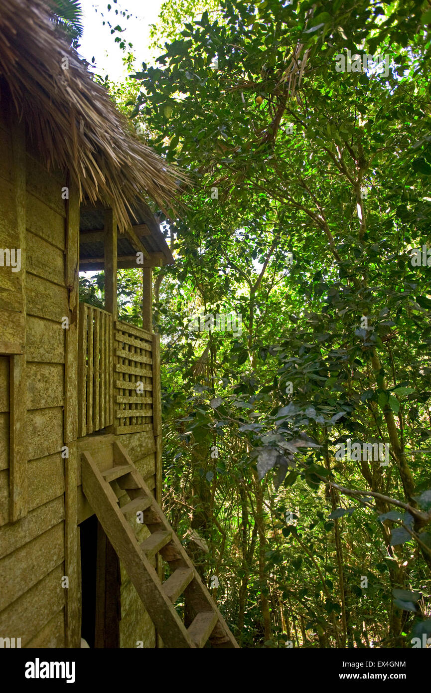 Vertikale Ansicht von Fidel Castros Haus Turquino Nationalpark, Kuba. Stockfoto