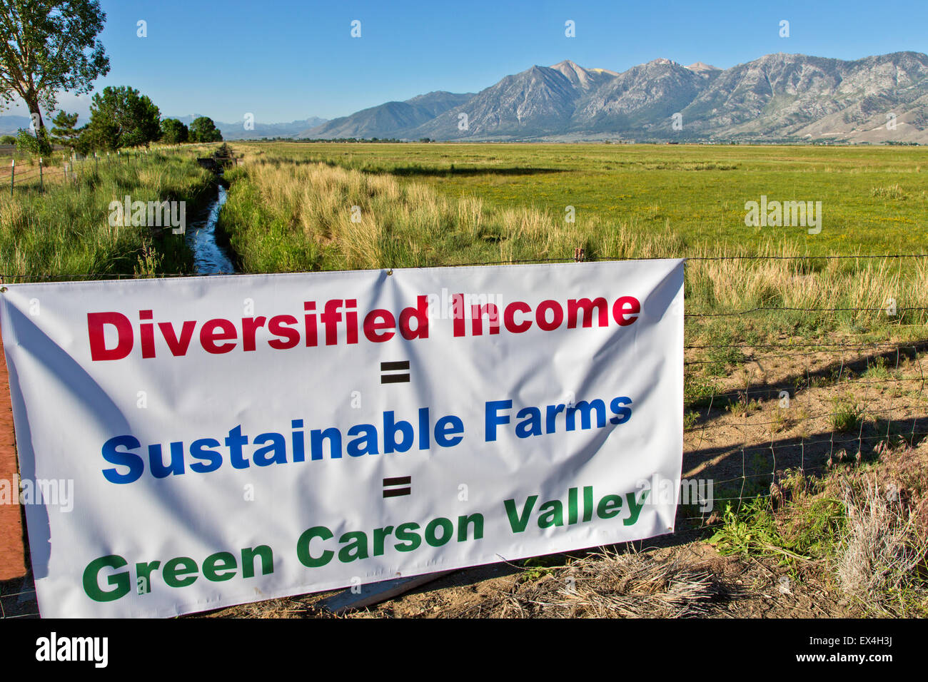 Weide bewässerte Feld "Landwirtschaft in Carson Valley". Stockfoto