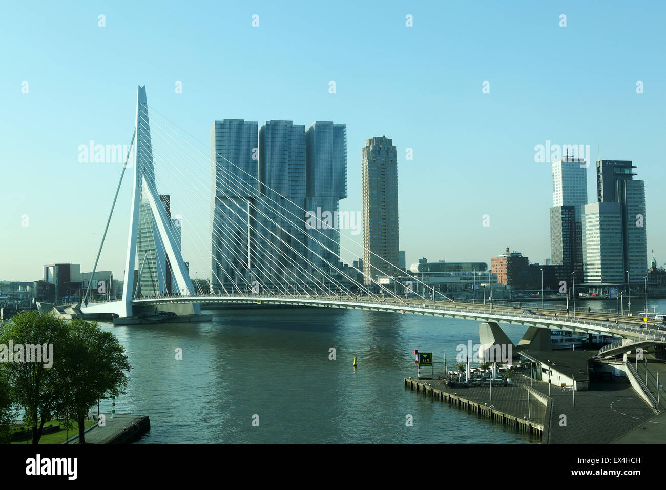 Die Erasmusbrücke in Rotterdam, Niederlande. Die Brücke steht der Wilhelmina Pier und das Gebäude De Rotterdam. Stockfoto