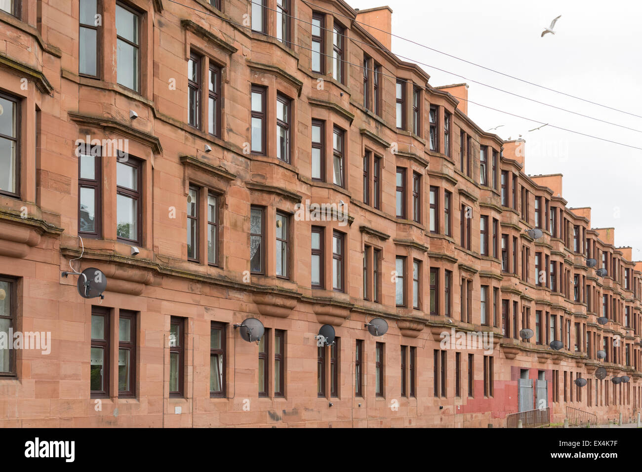 Traditionellen roten Sandstein Mietskasernen in Glasgow, Scotland, UK Stockfoto