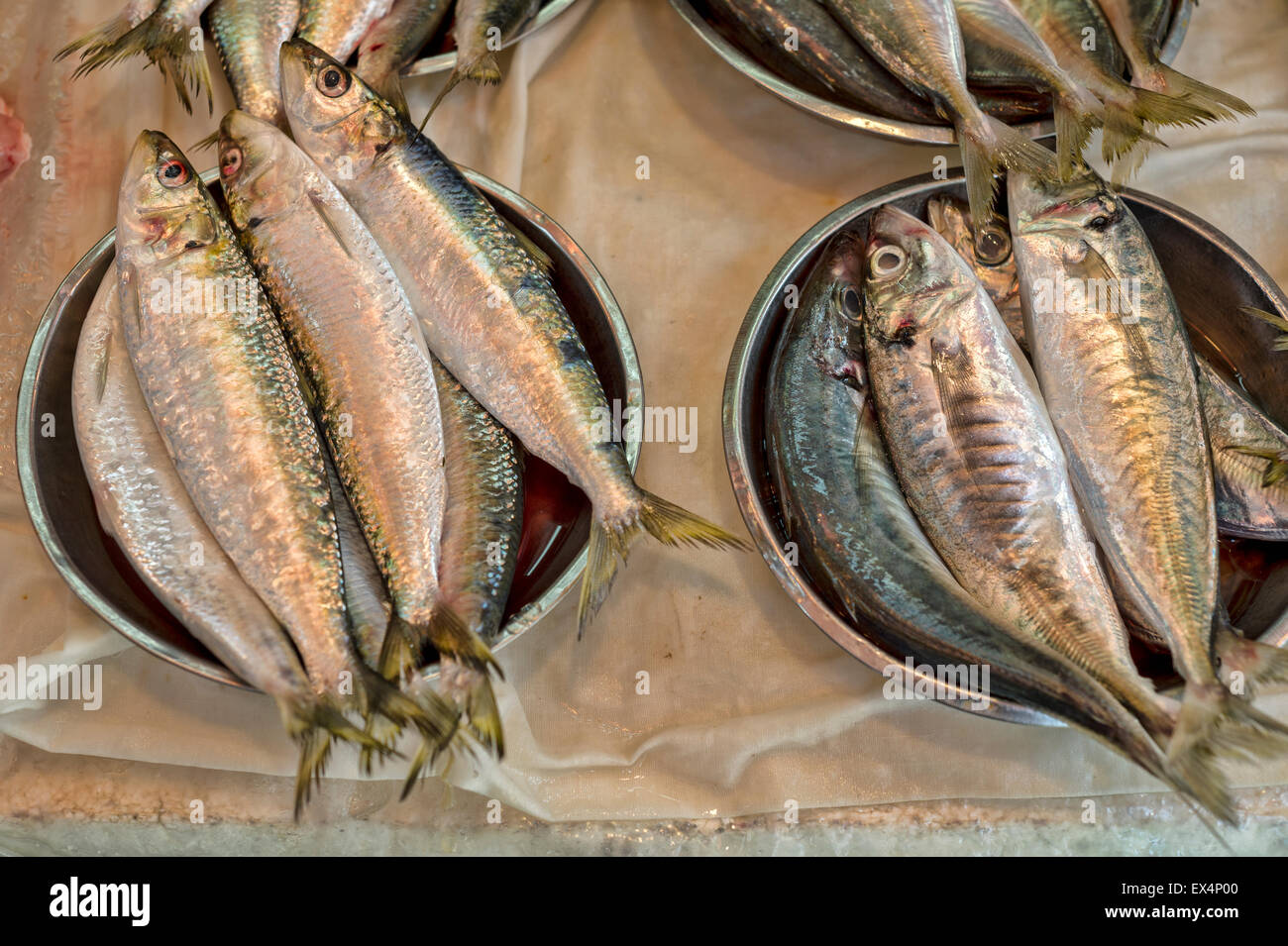Frische rohe Sardinen auf dem Markt in Hong-Kong Stockfoto