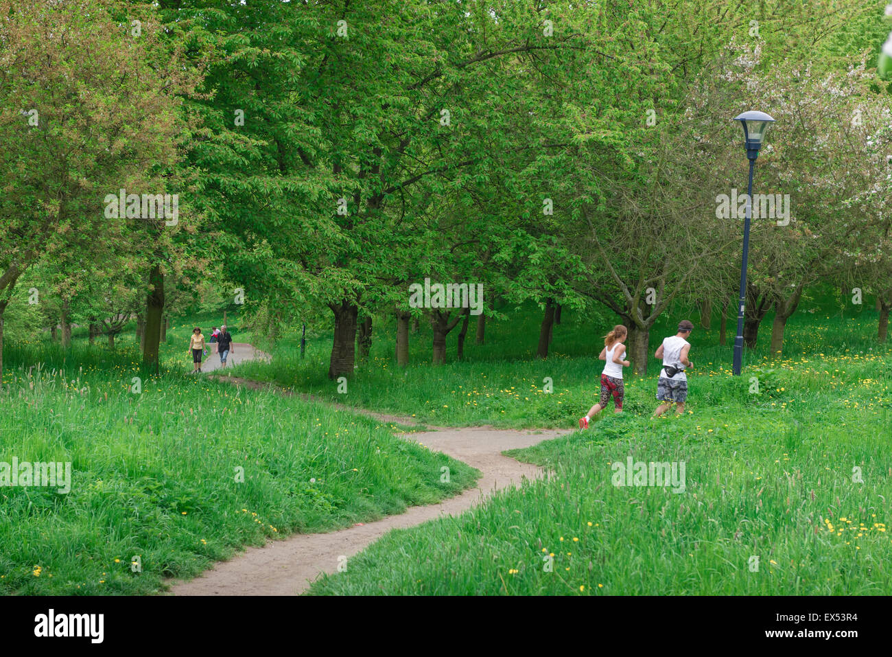 Park Prag, Blick auf ein junges Paar joggen in Petrin Park an einem Sommerabend, Prag, Tschechische Republik. Stockfoto