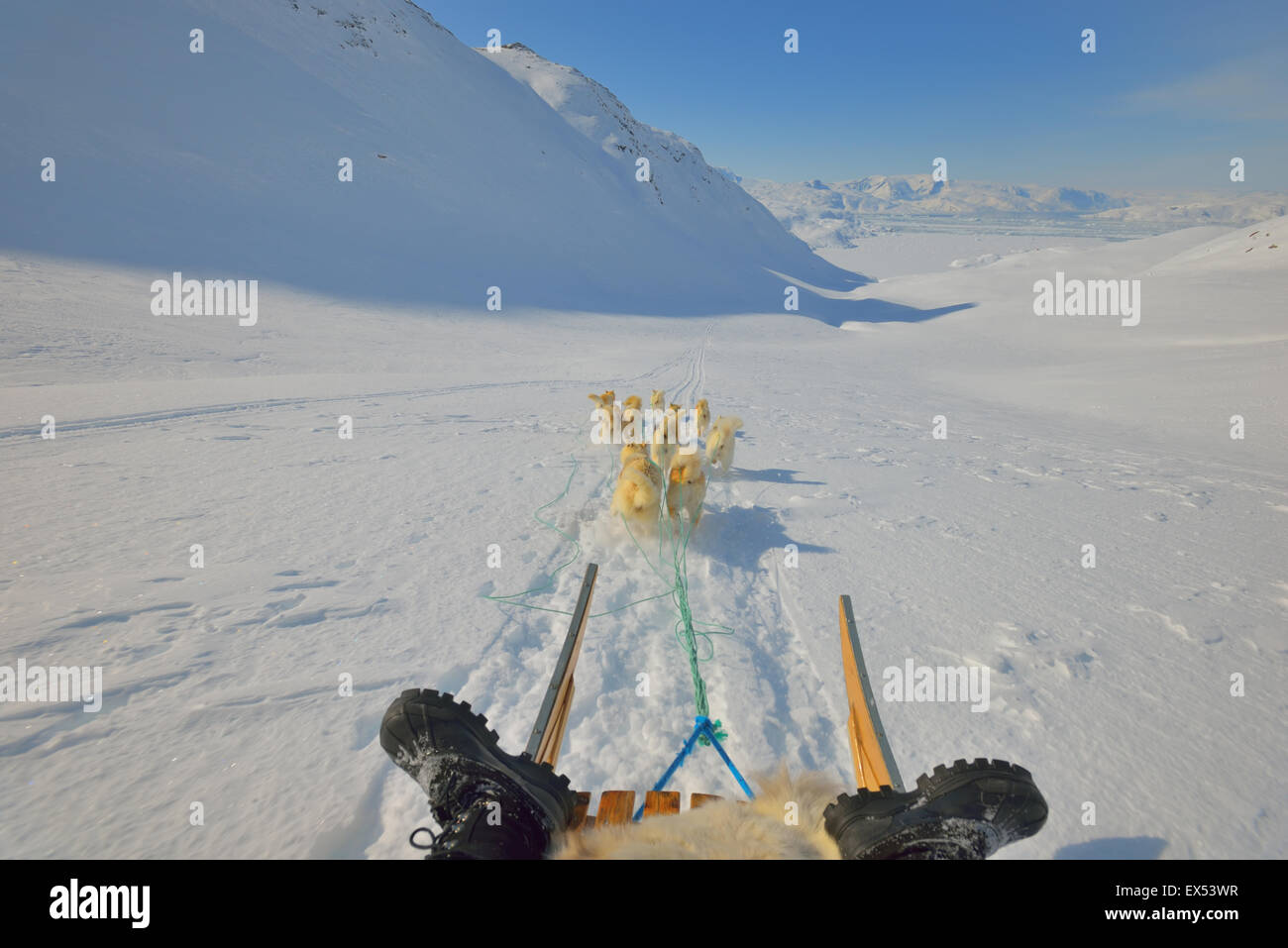 Hund-Rodeln-Reise im kalten schneereichen Winter in Grönland Stockfoto