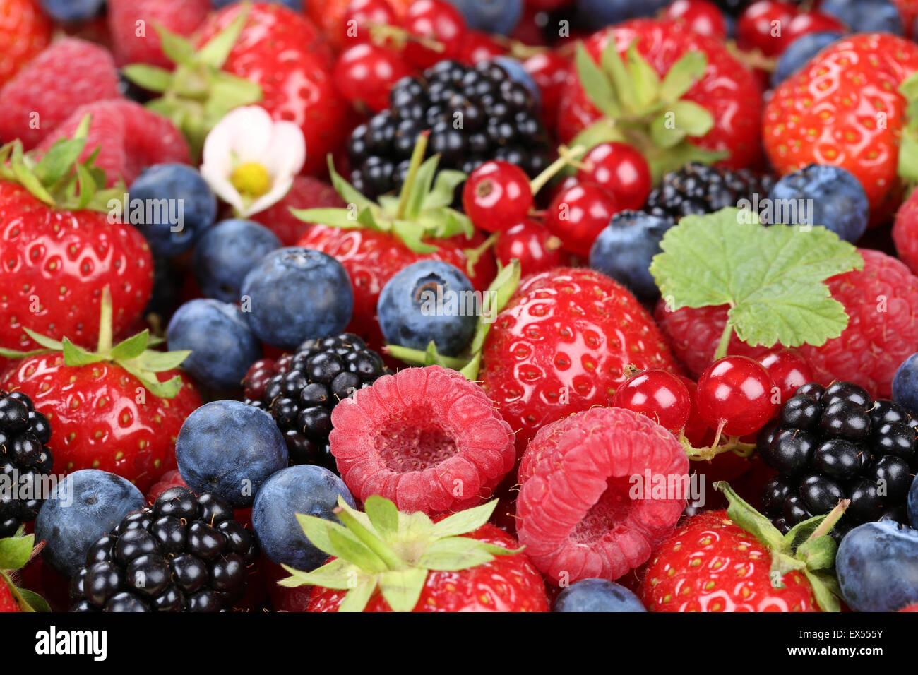 Beeren-mix mit Erdbeeren, Heidelbeeren, Johannisbeeren, Kirschen, Himbeeren und Brombeeren Stockfoto