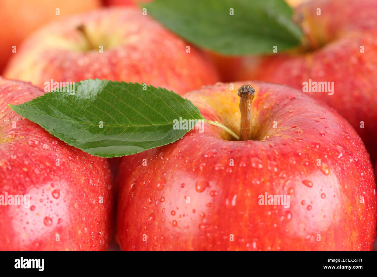 Gesunde Ernährung rote Äpfel Früchte mit Blatt Stockfoto