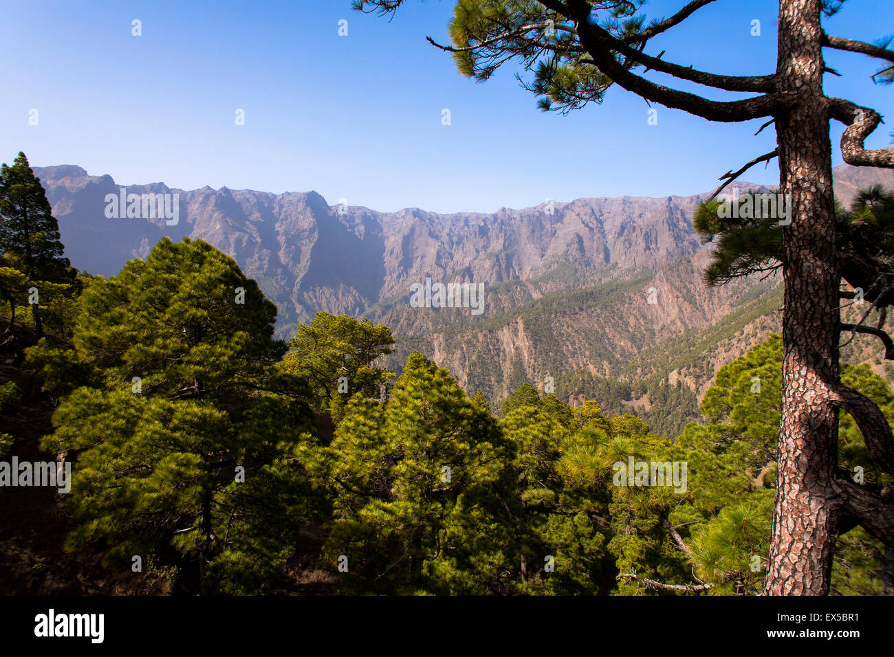 ESP, Spanien, die Kanaren Insel La Palma, Nationalpark Caldera de Taburiente, den Pass La Cumbrecita auf der südlichen Stockfoto