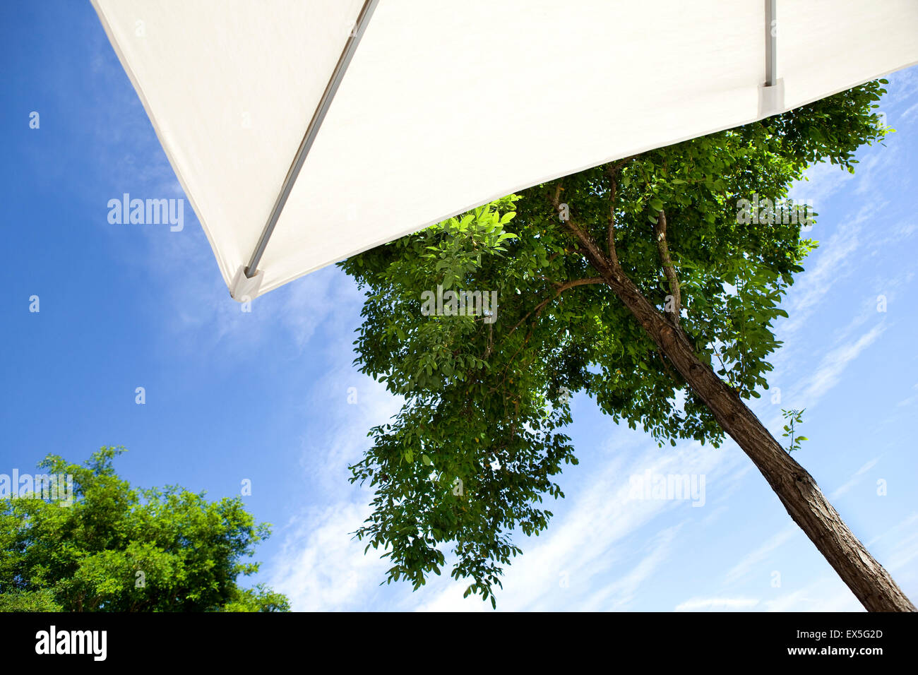 Sonnenschirm auf der Terrasse mit Blick auf die Bäume Stockfoto