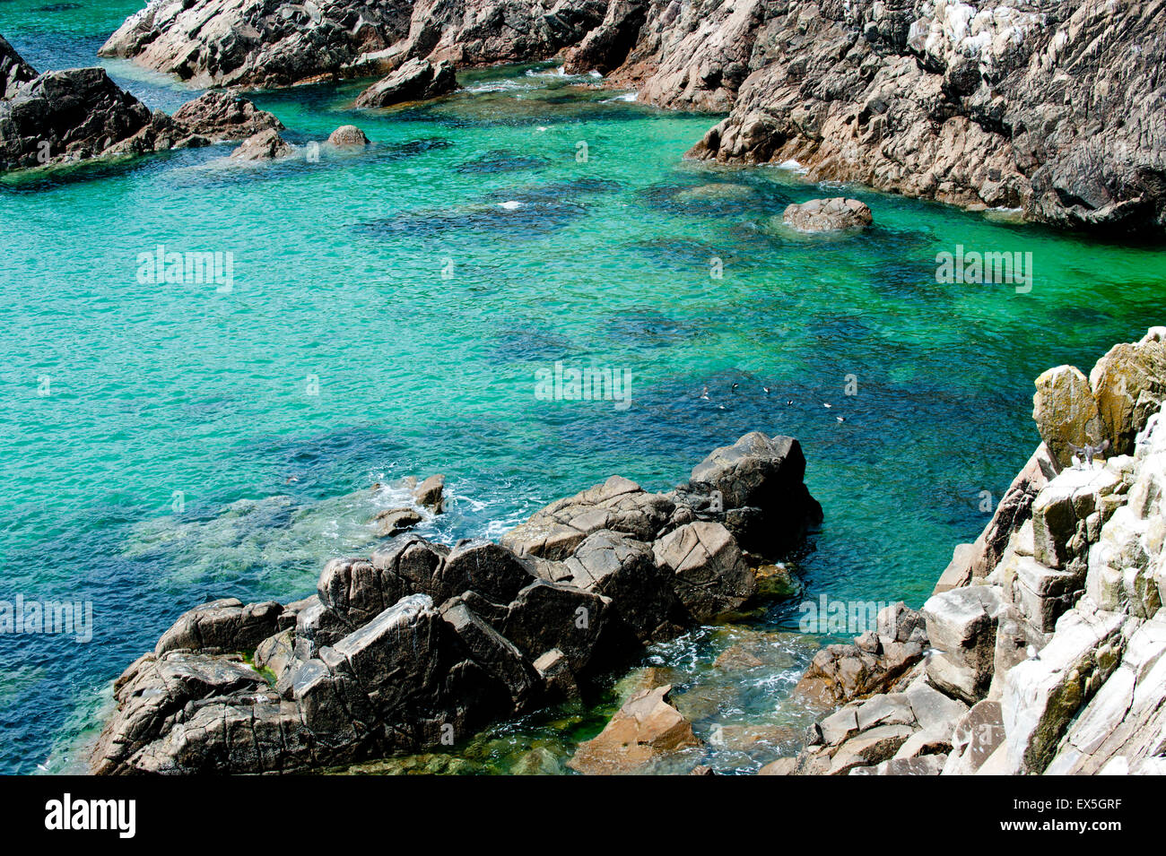 Saltee Inseln Küste in Sommerzeit, County Wexford, Irland, Europa Stockfoto