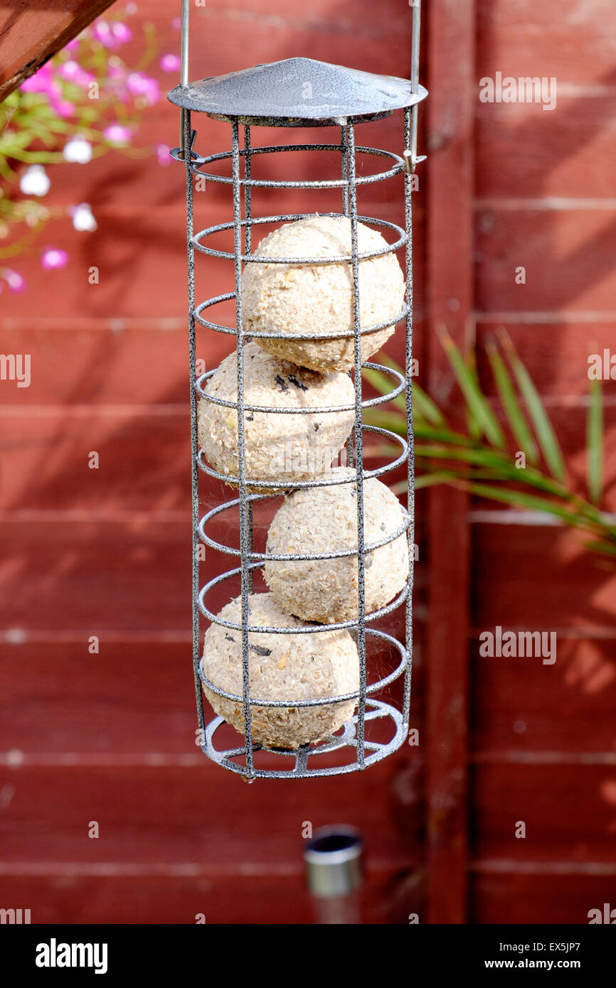 Metall Vogel-Feeder mit Meisenknödeln hängen im Garten Stockfoto