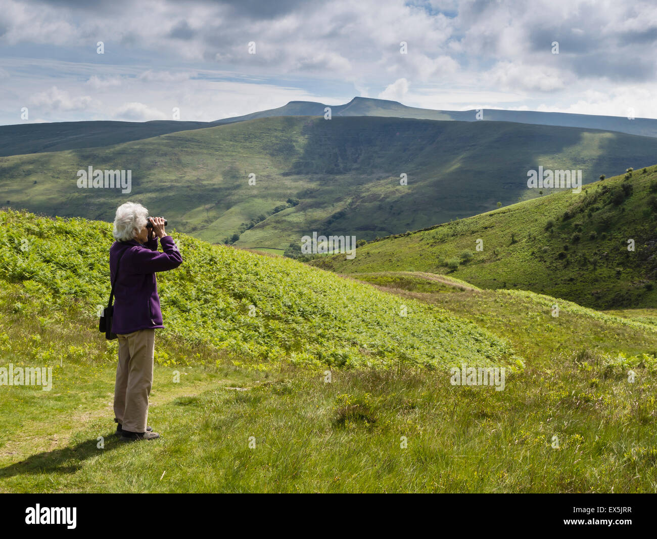 Weibliche Vogelbeobachtung in den Brecon Beacons National Park, Powys, Wales, UK Stockfoto