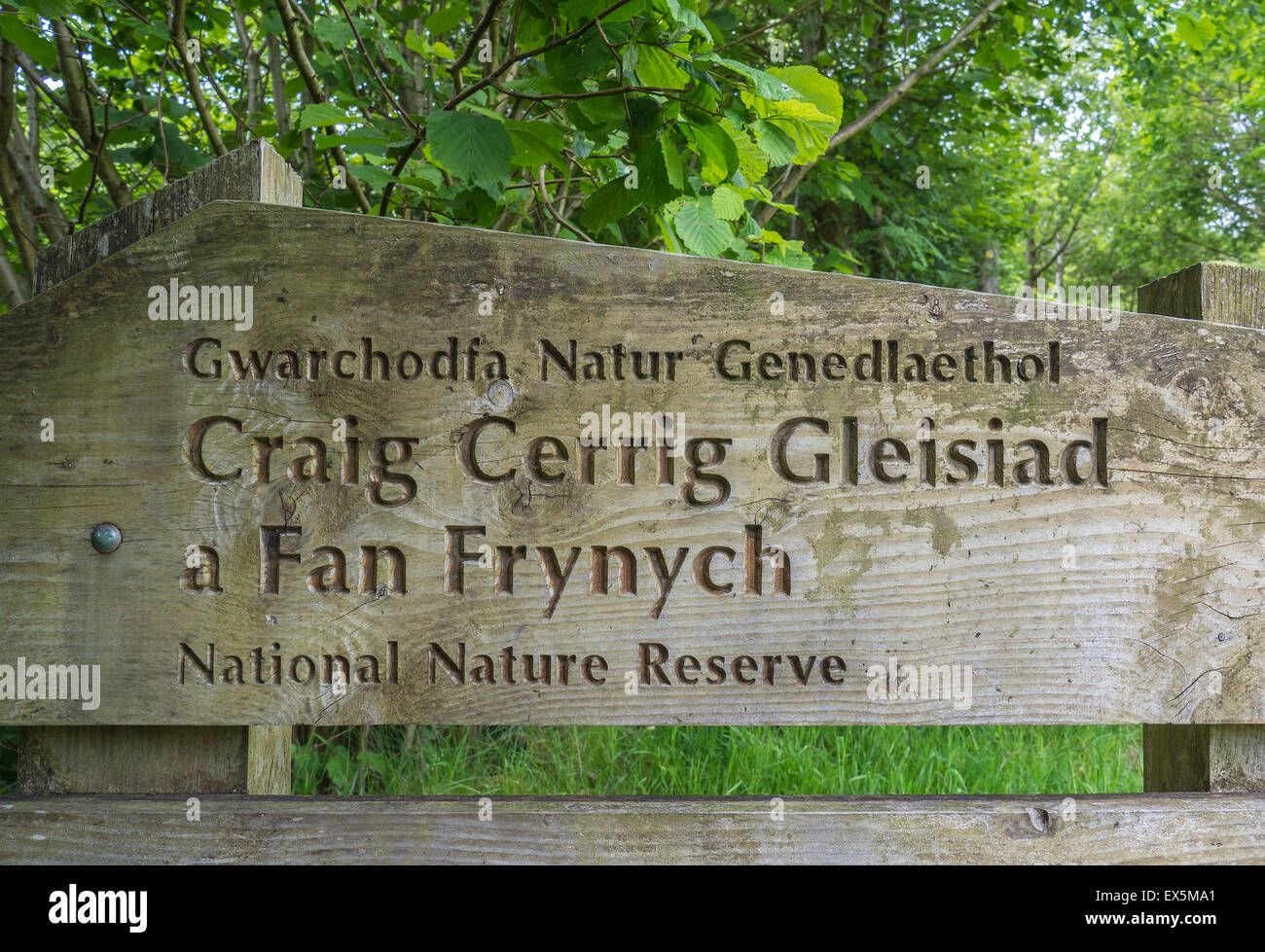 Melden Sie sich an die Craig Cerrig Gleisaid ein Fan Frynych National Nature Reserve, Brecon Beacons National Park, Powys, Wales, UK Stockfoto