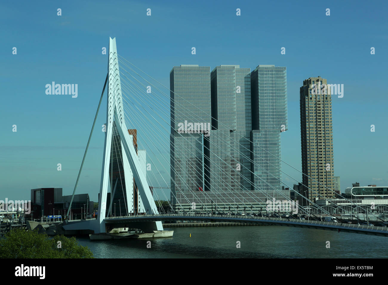 Die Erasmusbrücke und De Rotterdam Gebäude in Rotterdam, Niederlande. Die Brücke überspannt den Fluss Maas. Stockfoto