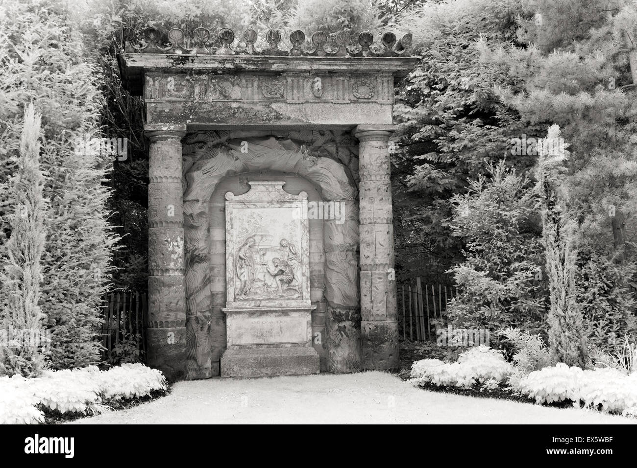 Schwarz / weiß Foto des englischen Parklandschaft Cannock Chase AONB Area of Outstanding Natural Beauty in Staffordshire England UK Stockfoto