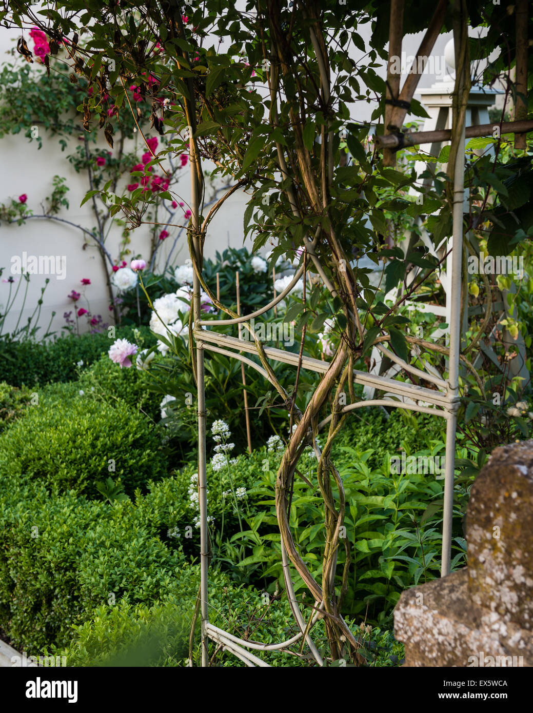 Box-Hecke und Spalier im Bauerngarten Stockfoto