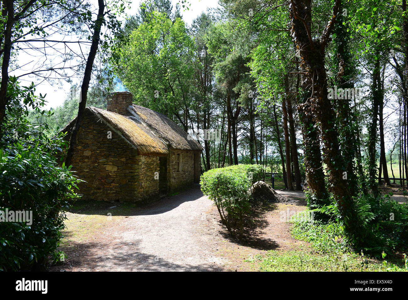 18. Jahrhundert landlosen Einzelzimmer Kabine Familienhaus, rekonstruiert im Ulster American Folk Park Stockfoto
