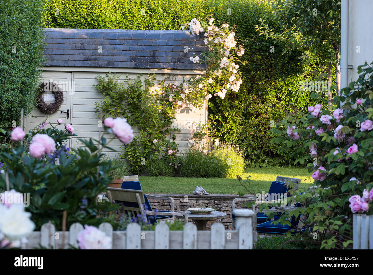 Hölzerne Schuppen im Garten mit Rosen und Pfingstrosen Stockfotografie -  Alamy