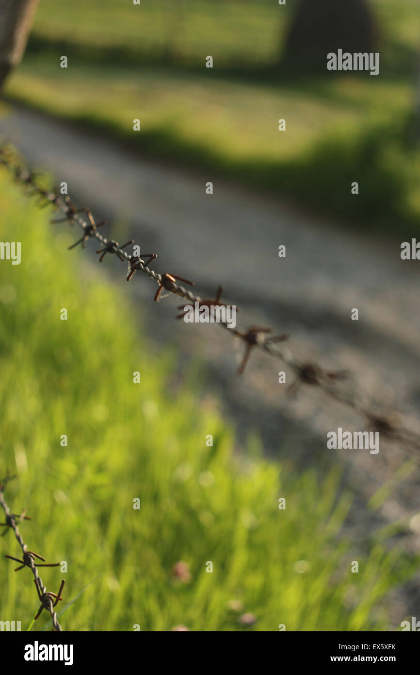 Abschnitt der Stacheldrahtzaun, Est Europe, Rumänien. Stockfoto