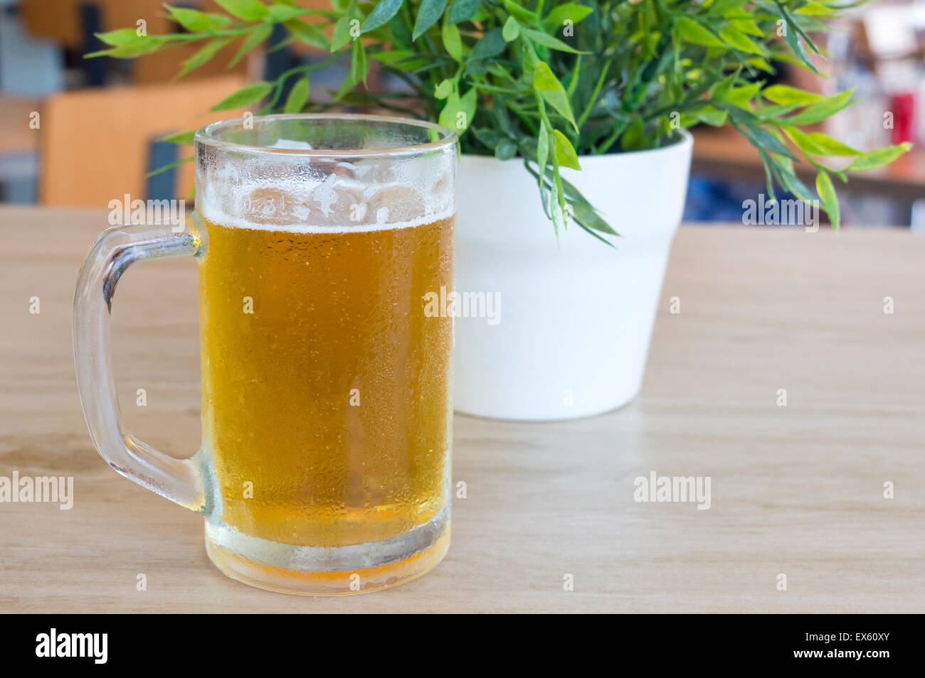 Bierkrug gefüllt mit frischem Bier vom Fass auf einem Tisch neben einer Pflanze Stockfoto