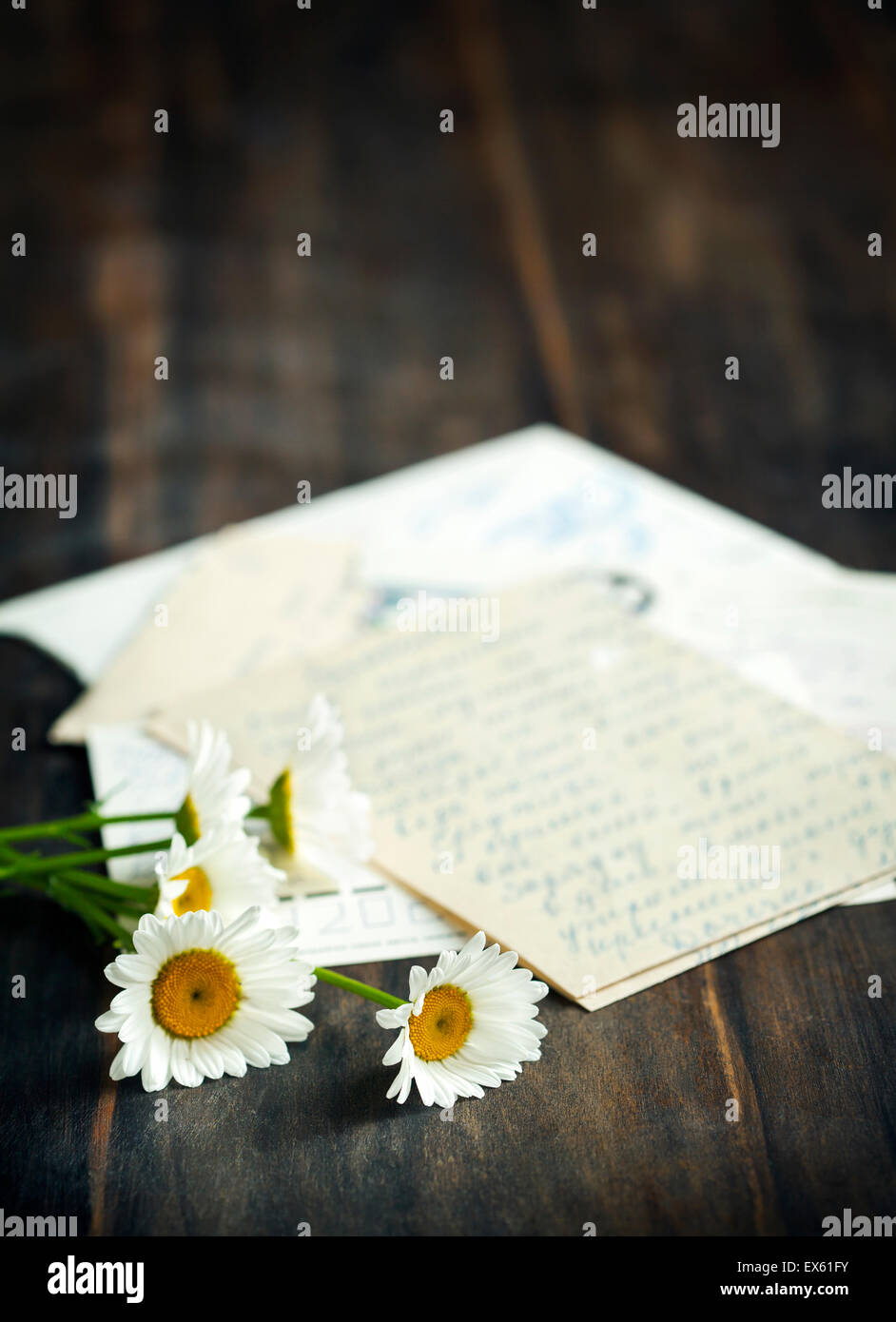 Frische Kamille und alte Briefe. Stockfoto
