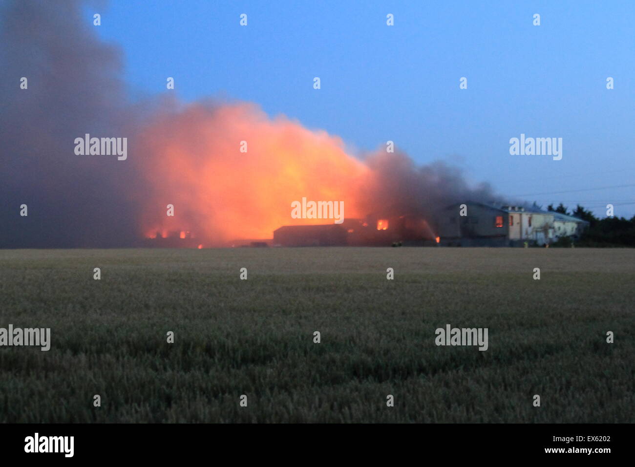 Rainham, London, UK. Dienstag, 7. Juli 2015. Über 80 Feuerwehrleute bekämpfen Brand in einer Palette Hof in Rainham. 12 Feuerwehrautos aus drei Feuerwehren wurden um ca. 20:00 Dienstag Abend in der Szene genannt. Kent und Essex, Feuerwehr und Rettungsdienste wurden gerufen, um die Londoner Feuerwehr unterstützen, bekämpfen das Feuer. Ein Stapel von Paletten und etliche Gebäude sind vermutlich in das Feuer. Form, die der Brand kilometerweit sehen konnte, wie Winde angefacht zu rauchen. Es gibt keine gemeldeten Verletzungen und die Ursache für den Brand ist noch nicht bekannt. Stockfoto