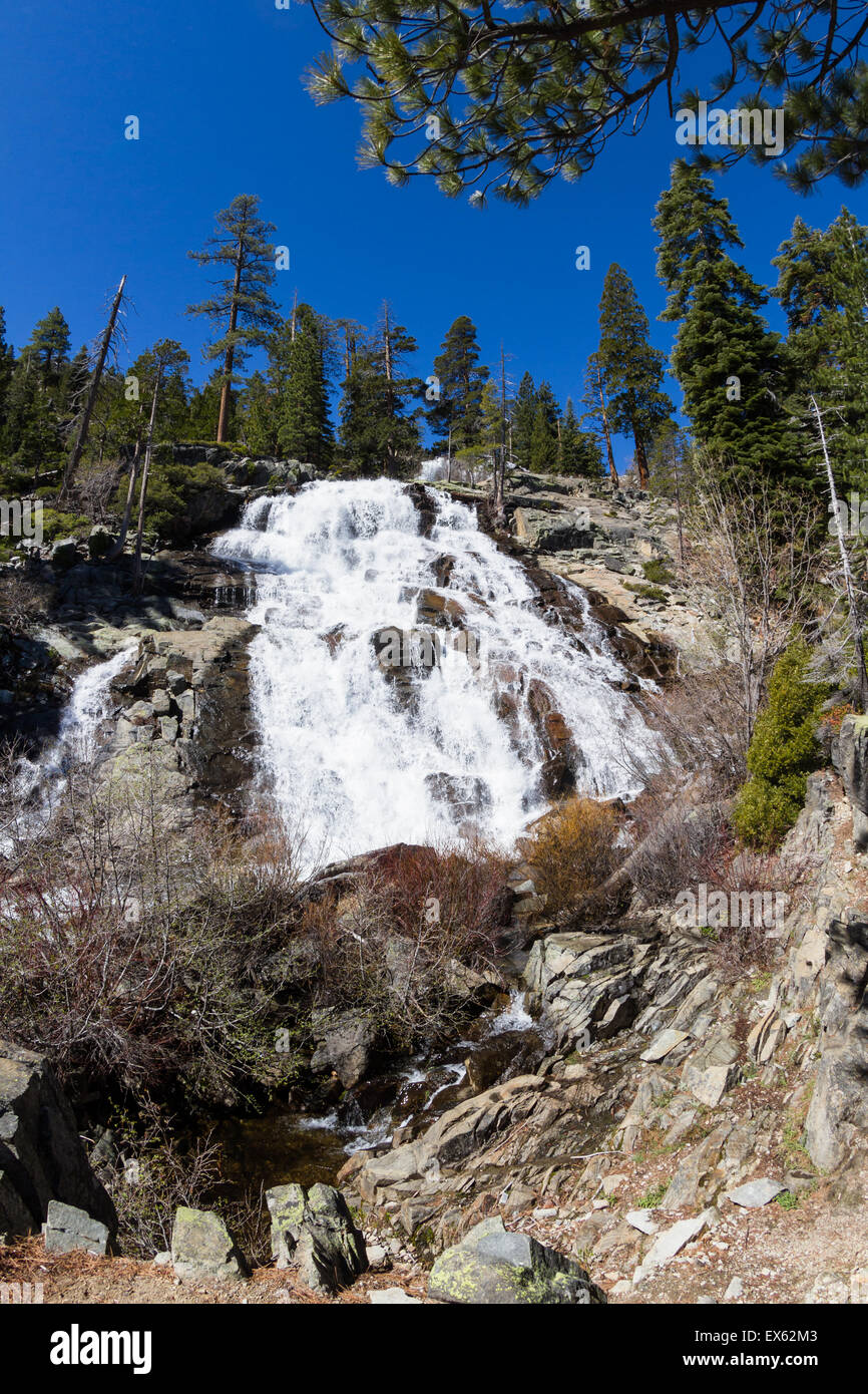 Adler fällt in Lake Tahoe, Kalifornien, mächtigen Wasser fließt über Festgestein Stockfoto