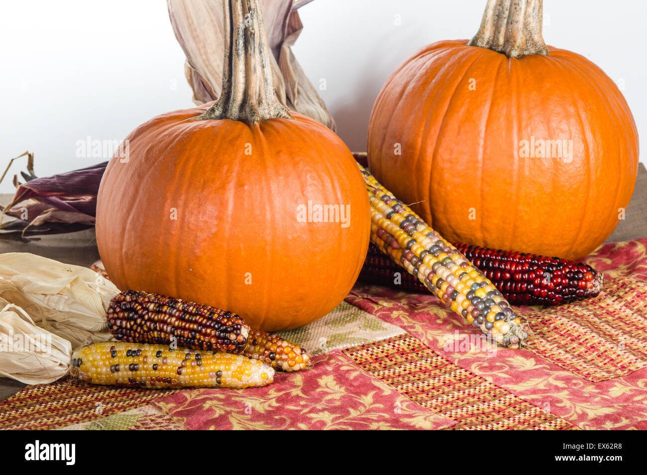Orange Kürbis Display mit bunten Ähren Stockfoto