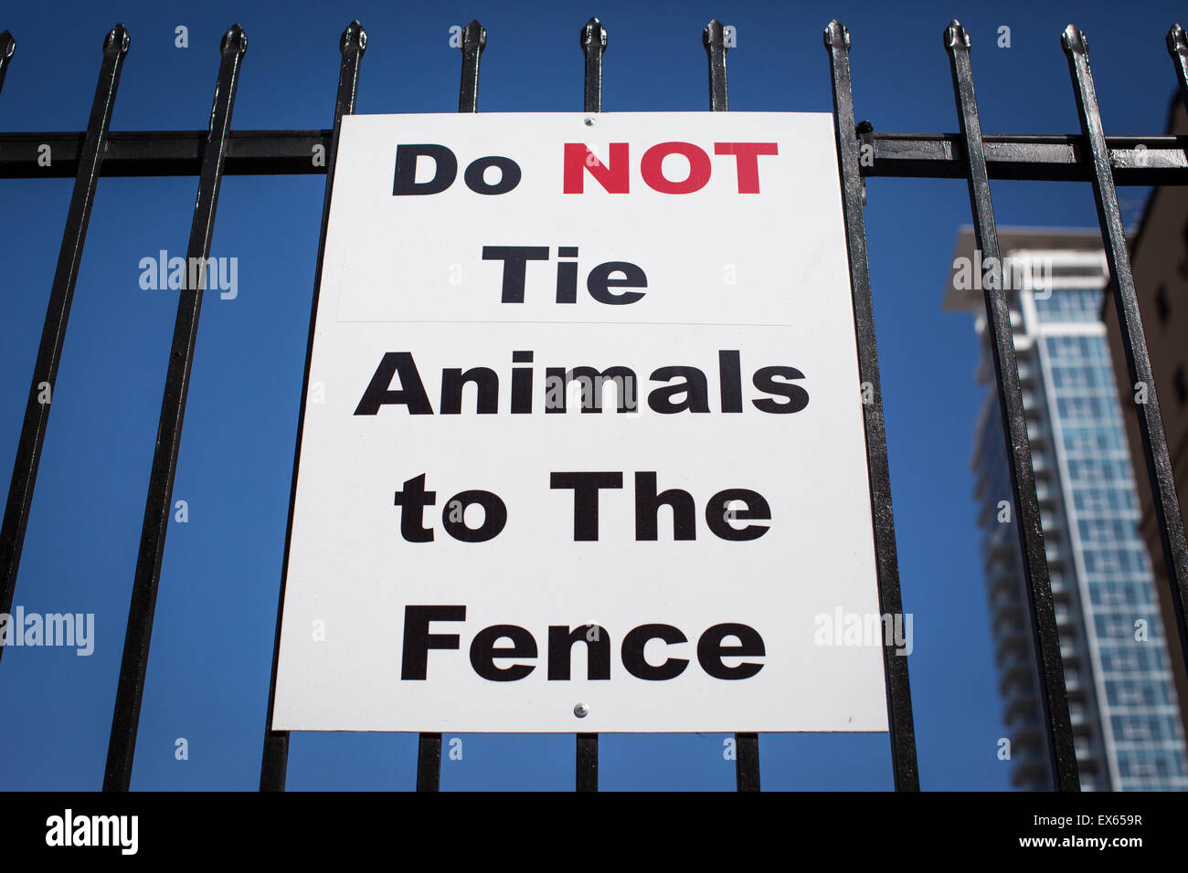Melde nicht Tie Tiere an den Zaun. Stockfoto